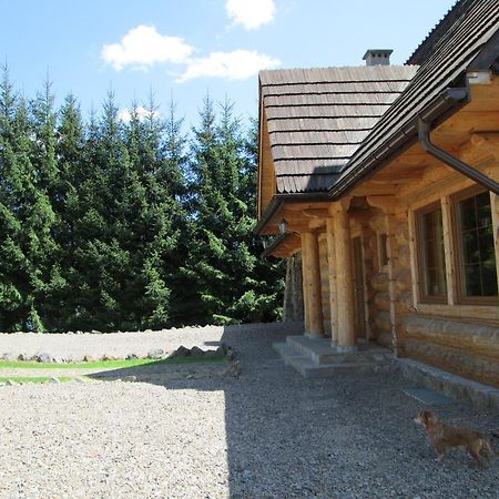 Noclegi Pod Malym Krolem Устрики-Долішні Екстер'єр фото